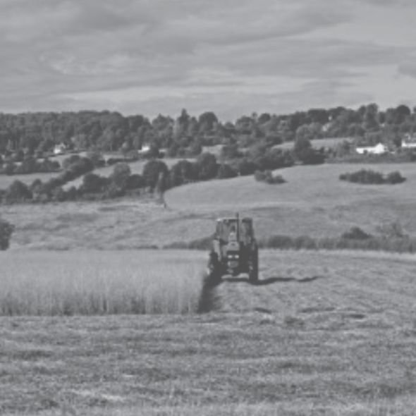 Avaliação de Imóvel Rural