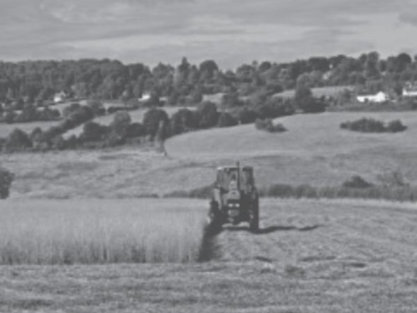 Avaliação de Imóvel Rural